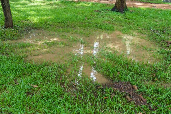 Cost of Storm Water Drainage Service in Kent