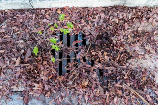 Yard Drain Unclogging in Kent