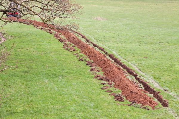 Cost of Swale Installation in Kent