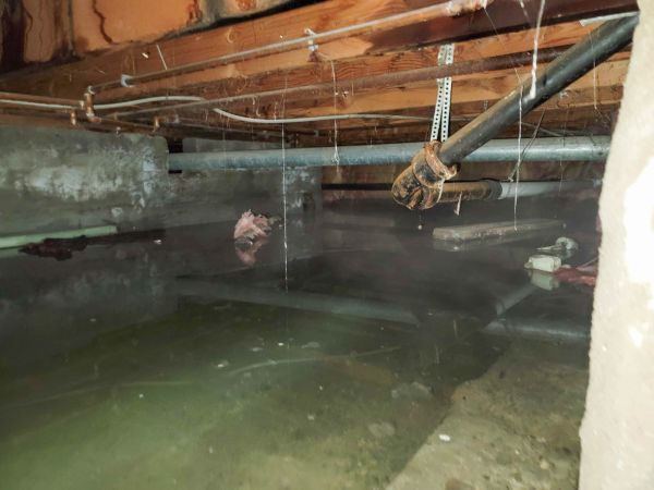 Cost of Crawlspace Drainage in Kent