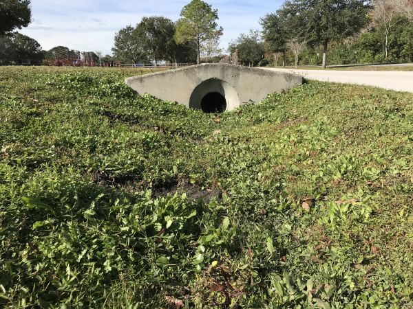Cost of Swale Drainage Service in Kent