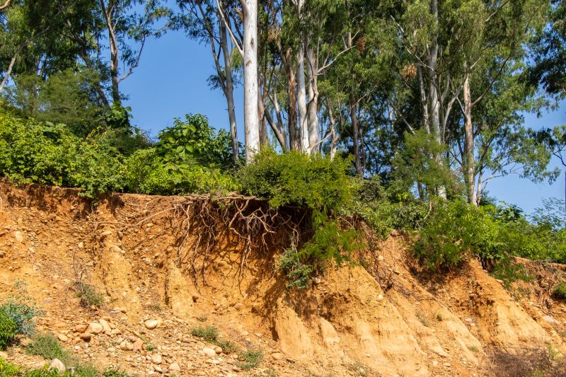 Erosion Prevention Work